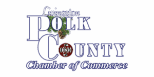 Partner-Grid - Polk COC